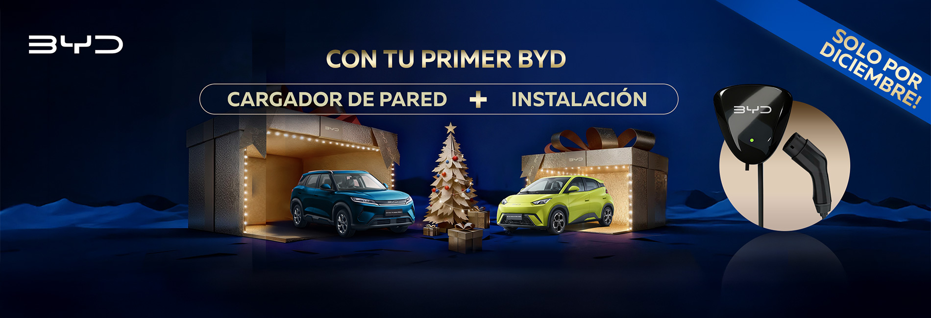 Promocion Diciembre